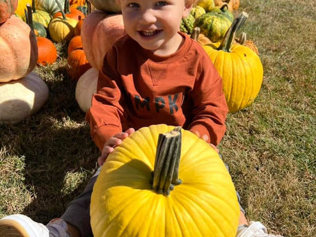 Pumpkin Festival at Wildside — Two Days of Fall Magic