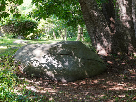 Family Plot  |  Saunderstown, RI