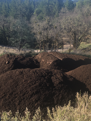 Winter Soil Building