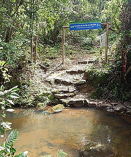 ff81c9_6416987b3e0246448fac8b8f4d7551b1_mv2.jpg