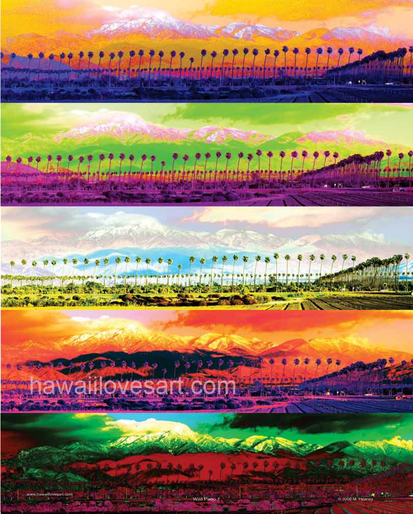 Wild Panos digital design