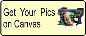 home-pics-on-canvas-png-.gif