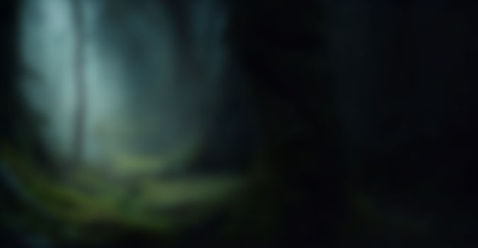 רקע מטושטש (1).jpg