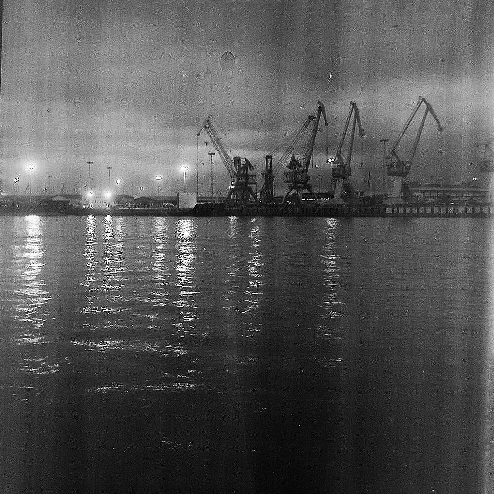 anzali (1)