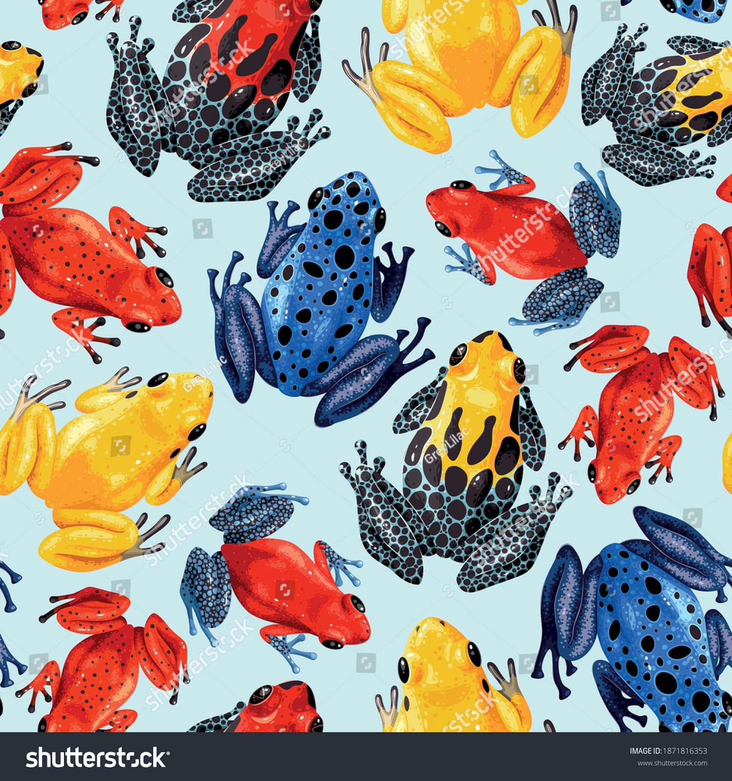 Squish Grenouille 1m