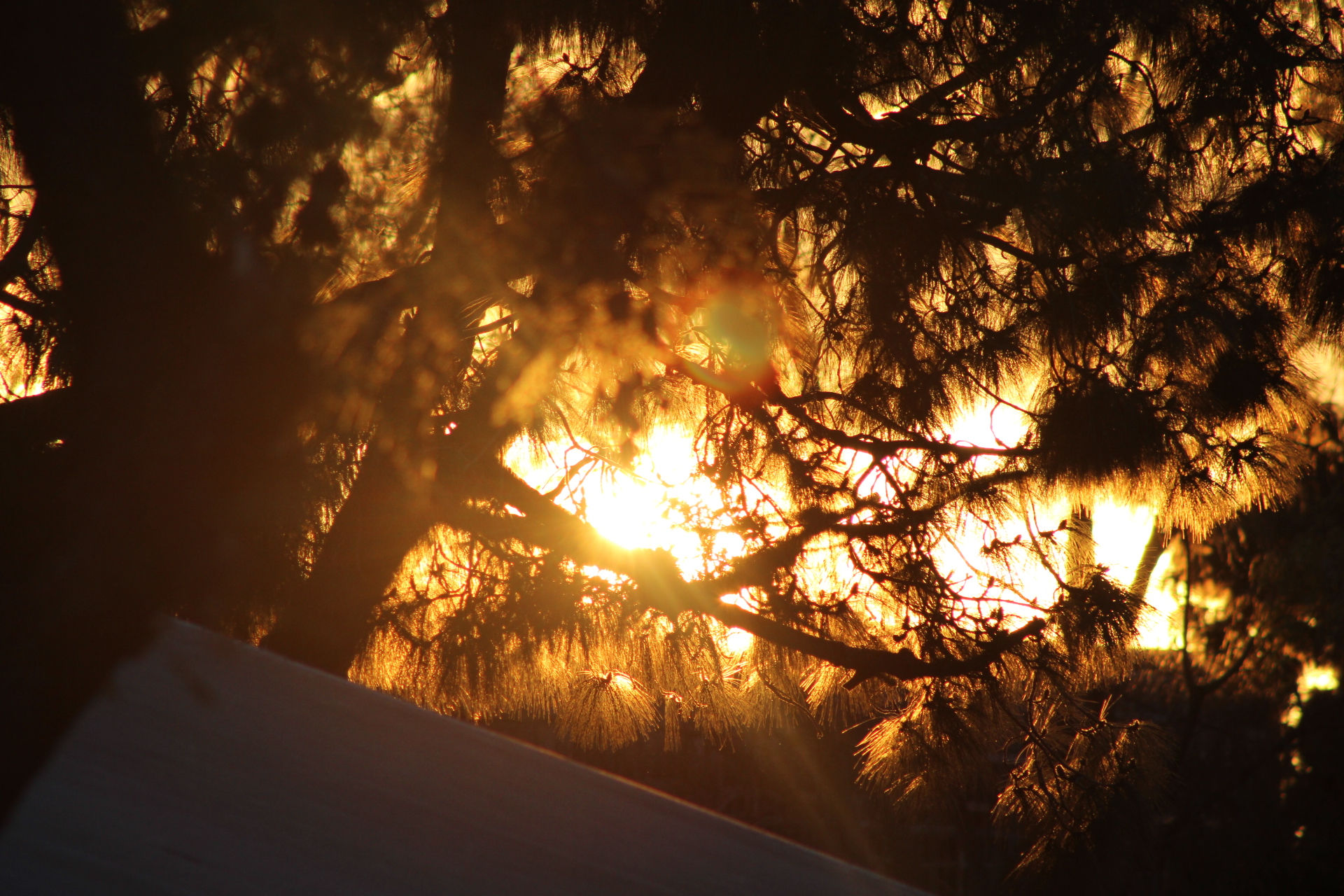 Daybreak