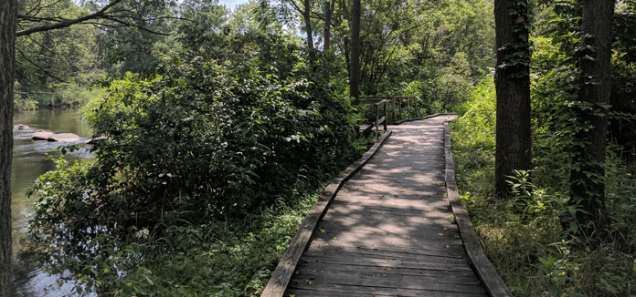 Centred Outdoors: Millbrook Marsh Nature Center