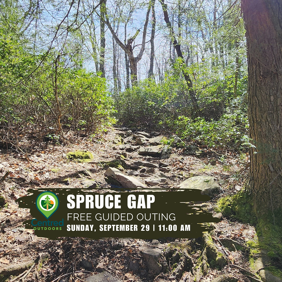 Spruce Gap: Guided Outing