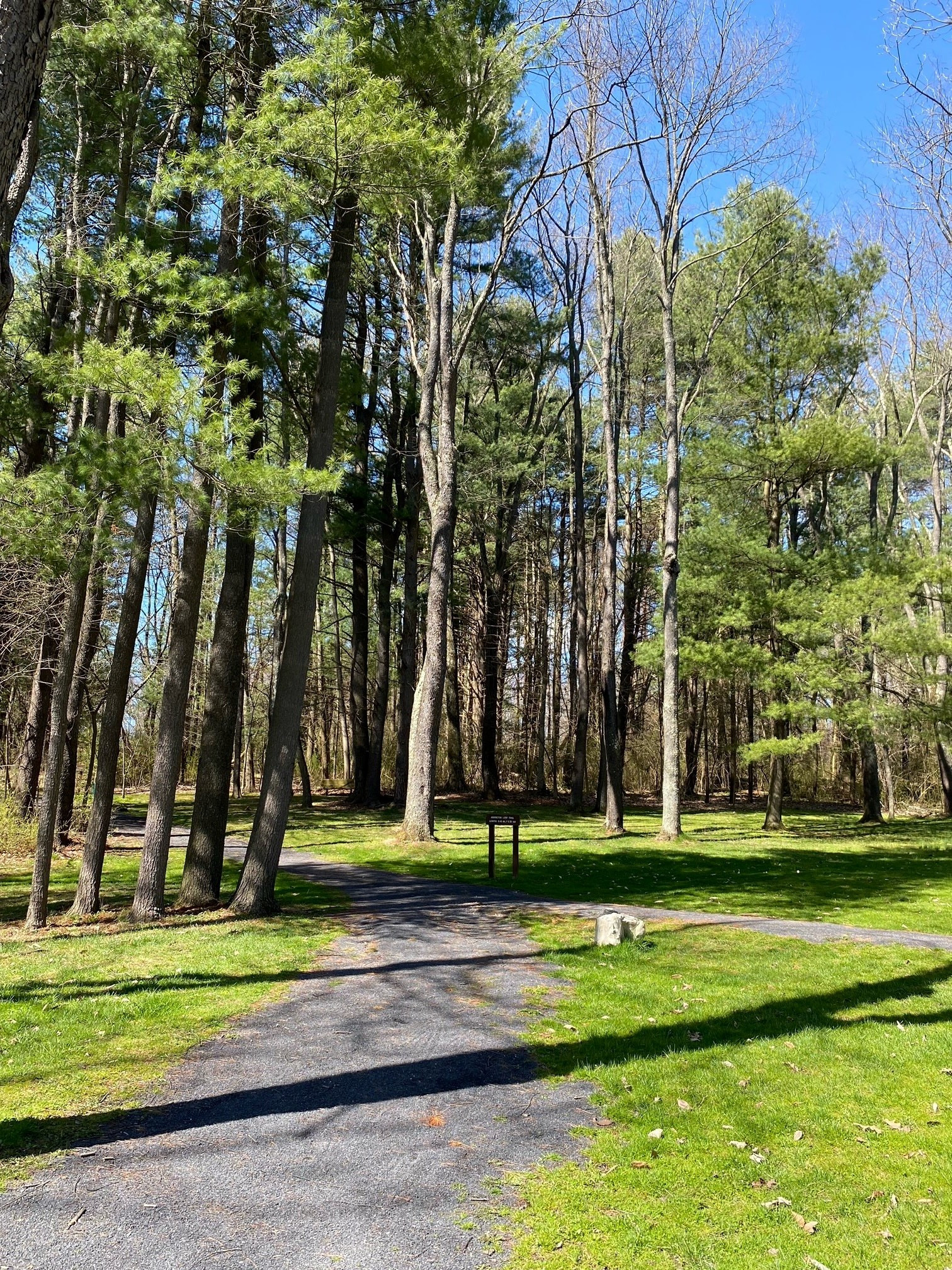 Lederer Park
