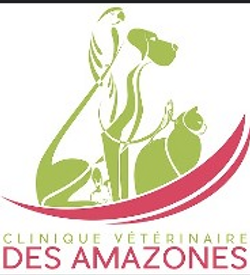clinique-veterinaire-des-amazones
