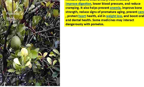 pomelo