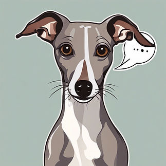 italian greyhound dog with speech bubble.jpg