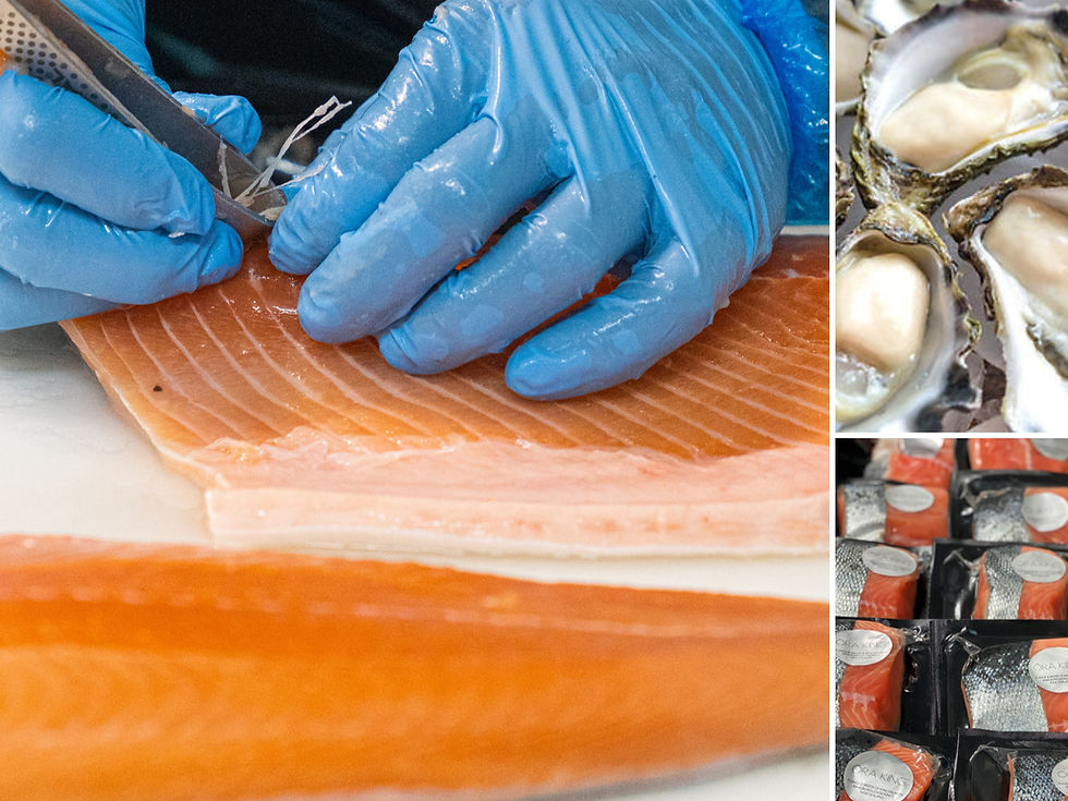Eye-level view of fresh Australian seafood on ice at a local market