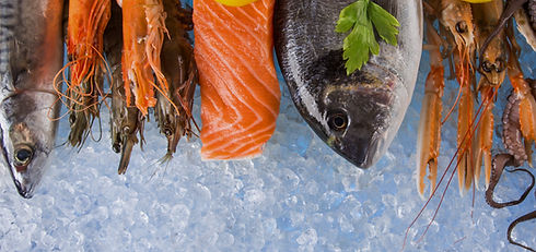 Image 2 cropped For Moofish WW Metro Partner Signage _edited.jpg