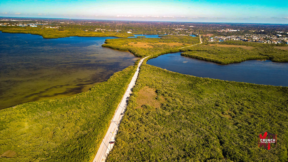 Robert K Reese Aerial View (c) XP Crunch Media