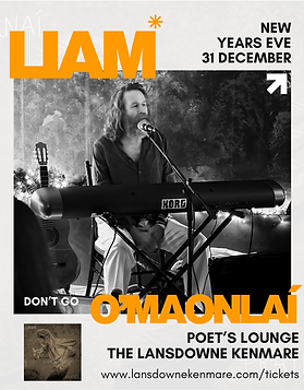 
Liam O'Maonlaí