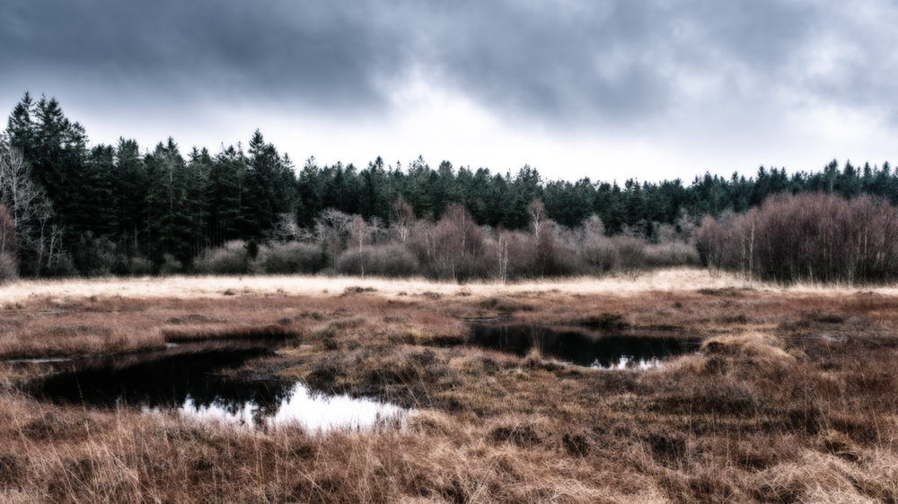 Landschaftsfotografie im Dezember: Ein Tag im Hohen Venn