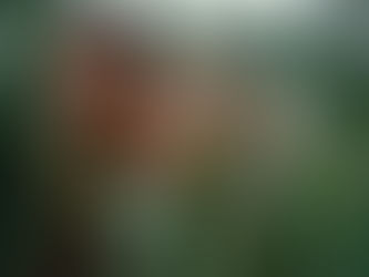 Jurassic world: A story spiraled in rebirth or oblivion, only time will tell.