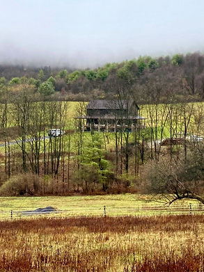 The home at Mountain Pets