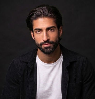 Andrea Lippolis