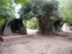 Thornicroft Tent.jpeg