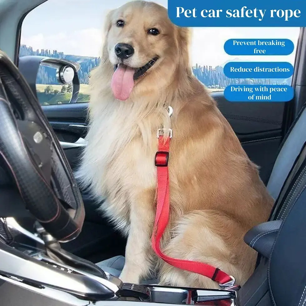 Thumbnail: Car Pet Seat Belt, Adjustable Safety Rope, Rust Proof Hook and 360°
