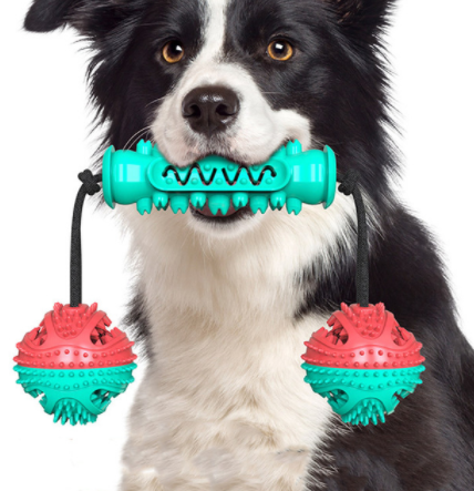 Thumbnail: Dog Chew Toys Pet Toothbrush Rubber Bones Teeth Cleaning