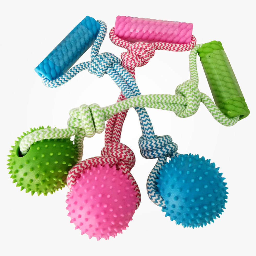 Thumbnail: Rubber Chew Training Pet Dog Toy