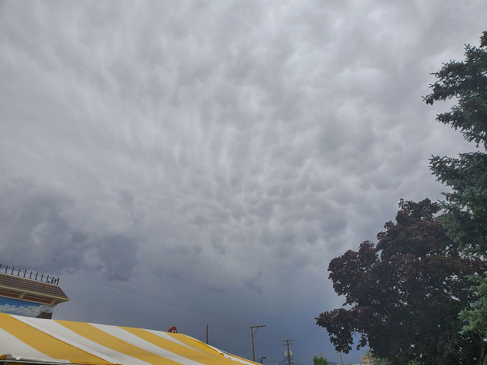 Winnemucca Mammatus