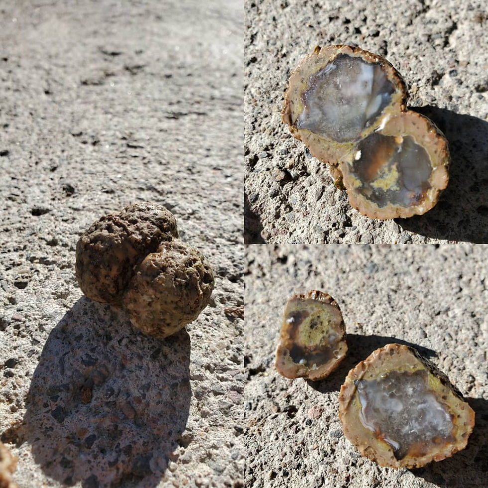 Double Geode (before and after cutting)