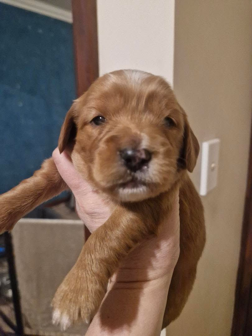 Muncy update since the last post.
