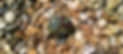 IMG_20250618_114356_edited.jpg