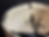 Thumbnail: Sumi-e crackle bowl