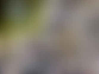 Gülşah Asena Ayas Mutlu Temiz Anaokulu Yaşlılar Haftası