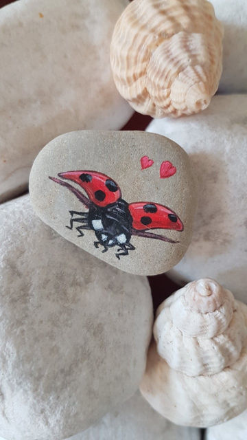 Ladybird Rock | Ladybird Seascapes | Beach Hut Hire Walton