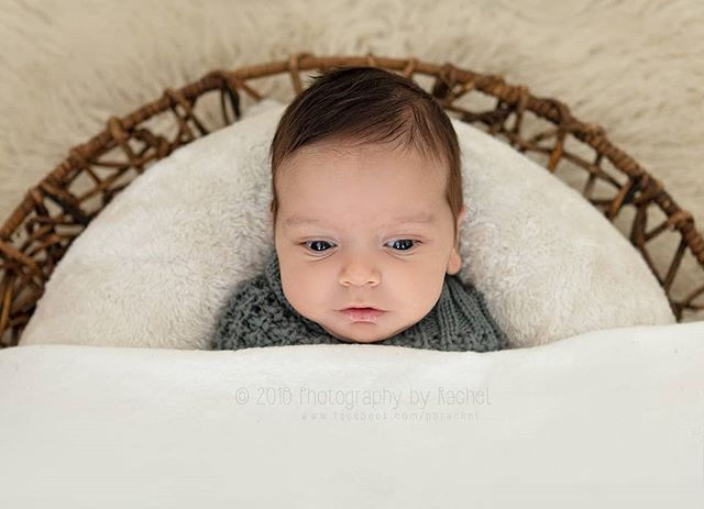#newbornminisession #6weeksold #babyphot