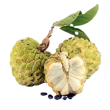 kisspng-cherimoya-sugar-apple-soursop-tr