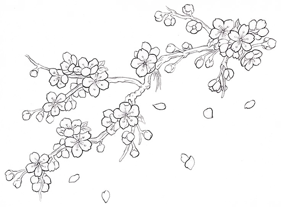 blossom.png
