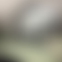 Looking for natural gray coverage? Learn how to keep your color soft and polished at Evergreen Hair Studio in Vista, CA.