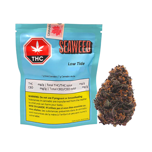 SEE WEED LOW TIDE