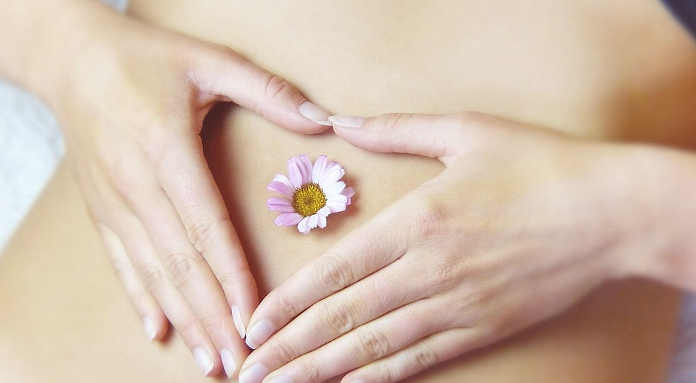 Revel'Essence - Pauline Leroy - Praticienne en développement personnel - Thérapie intégrative & Coaching