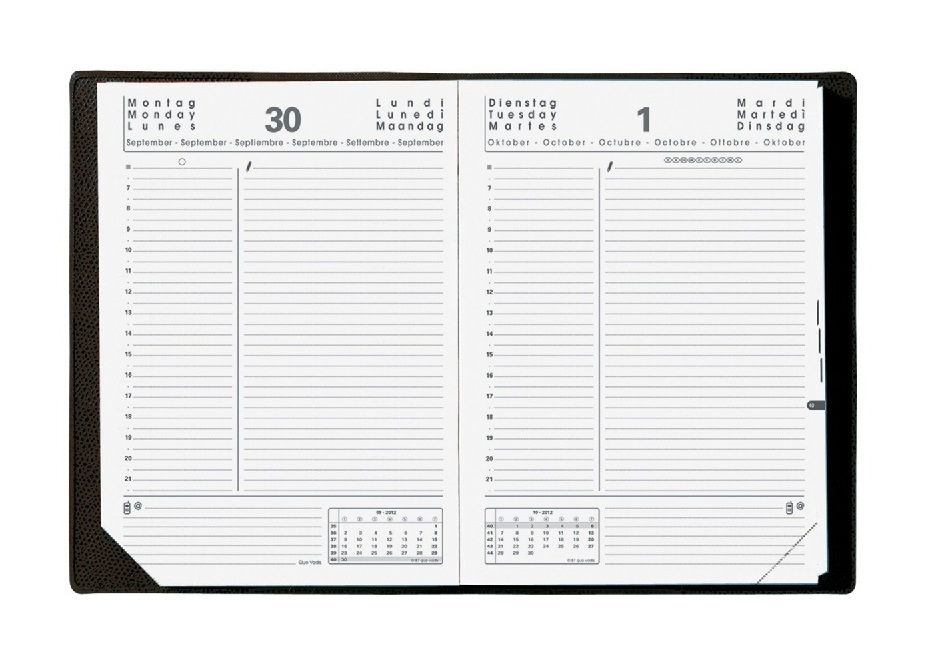Miniaturbild: Quo Vadis ABP 2 2027 12x17cm - Impala Schwarz