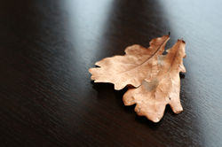 День за днём  