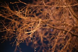 День за днём  