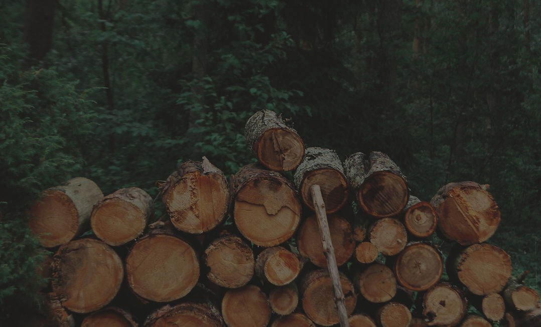 Pile of Logs_edited.jpg