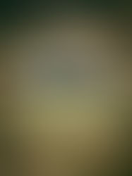 Cars & Bikes Maestrazgo: ¡Esto acaba de empezar!