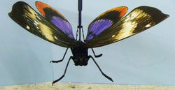 Butterfly Puppet // Midsummer