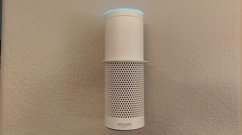 google home amazon echo alexa