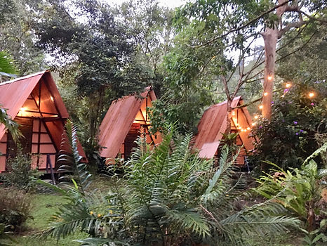 Cabinas,Los Mineros Guesthouse,Hotel,Dos Brazos del Rio Tigre,Parque Nacional Corcovado,Costa Rica,Hostel
