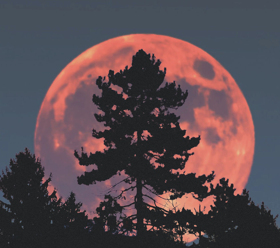 June 27 - July 3 | Full Moon in Capricorn + Mercury Retrograde begins